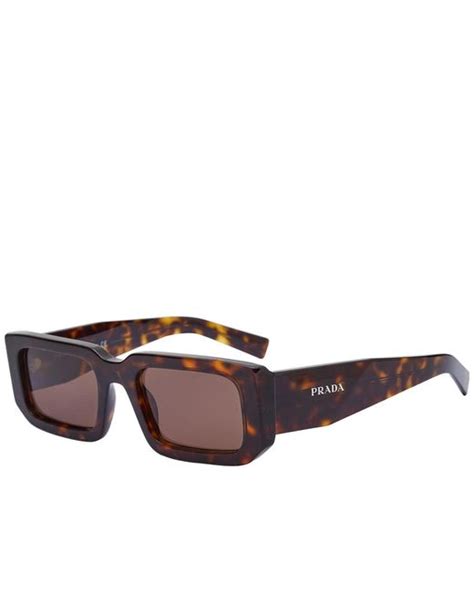 prada brown mens sunglasses|Prada symbole sunglasses tortoise.